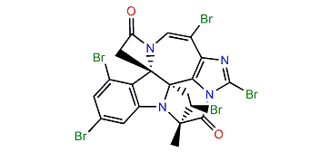 Chartellamide B